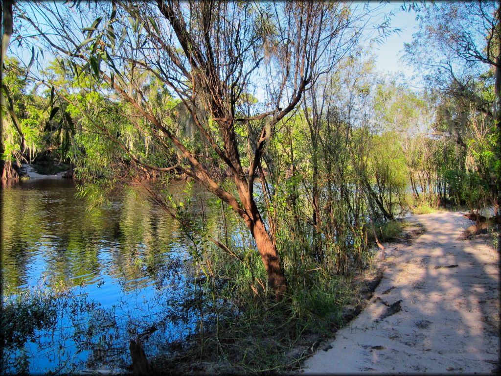 Peace River Campground Trail