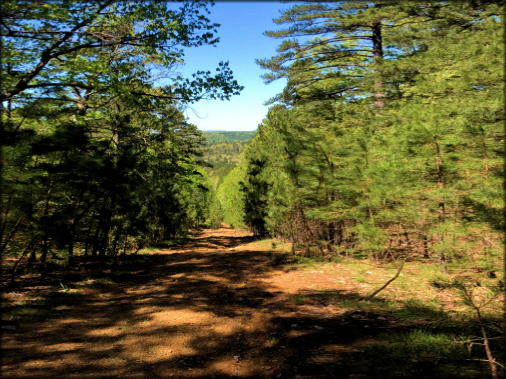 Fairfield Bay Trails