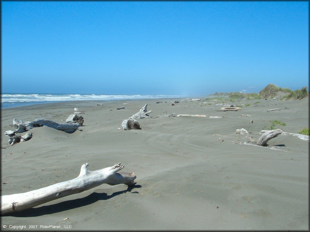 Scenic view of Samoa Sand Dunes OHV Area