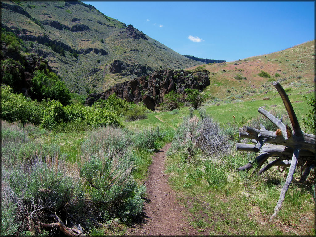 Panoramic view of single track motorcycle trail surrounded by sage brush with rock boulders and aspen forest in the foreground.
