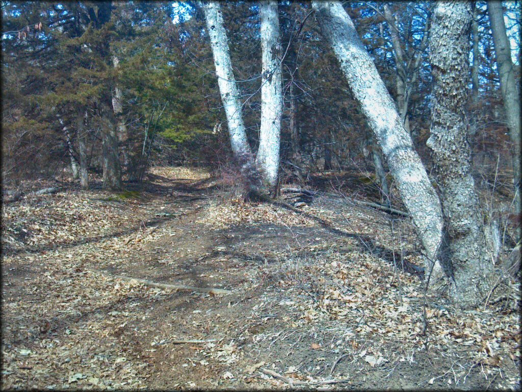 Some terrain at Spillway Cycle Area Trail