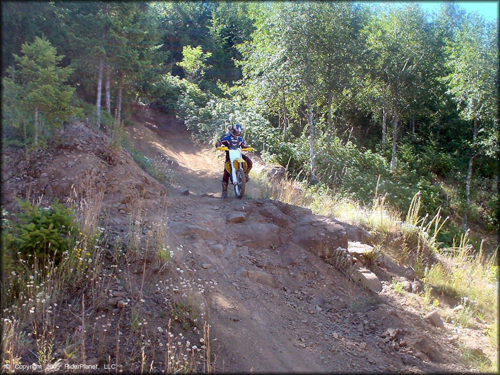 OHV at Upper Nestucca Motorcycle Trail System