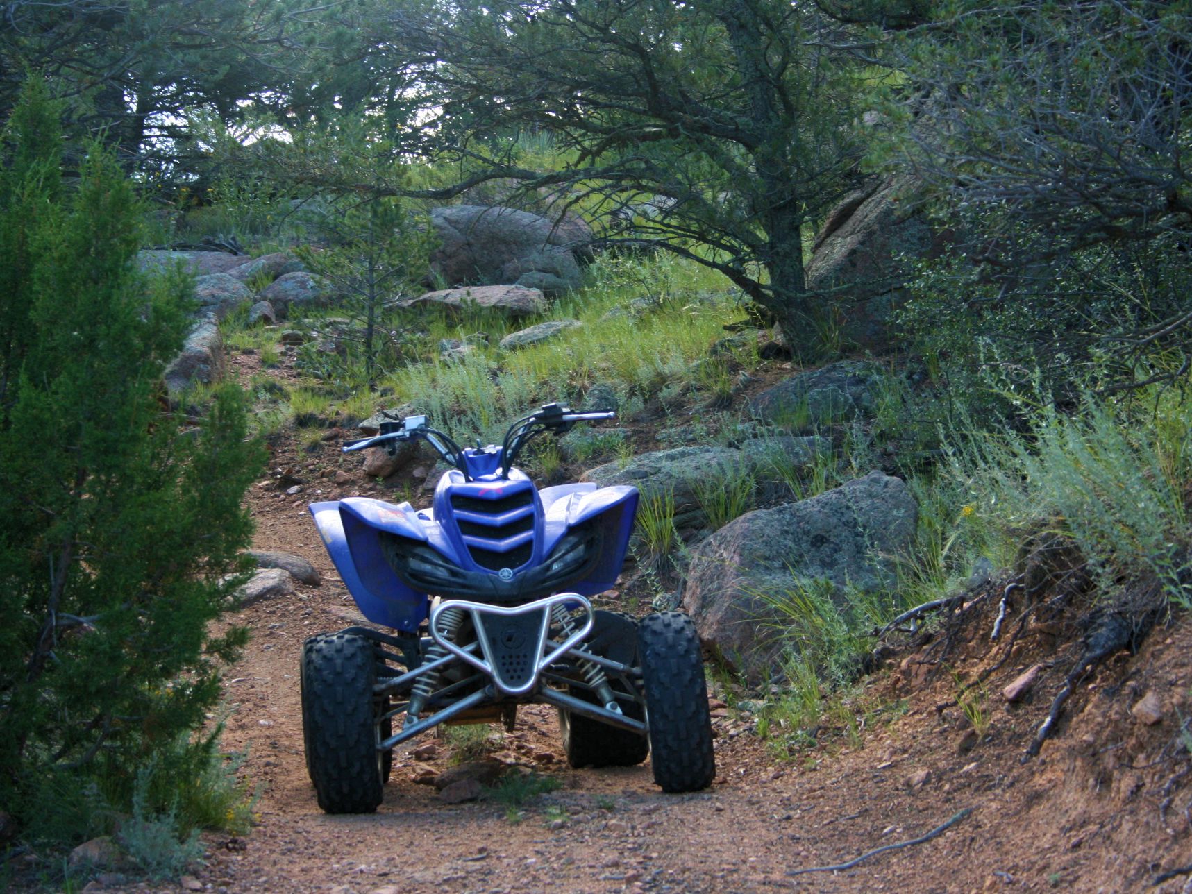 Texas Creek Trail