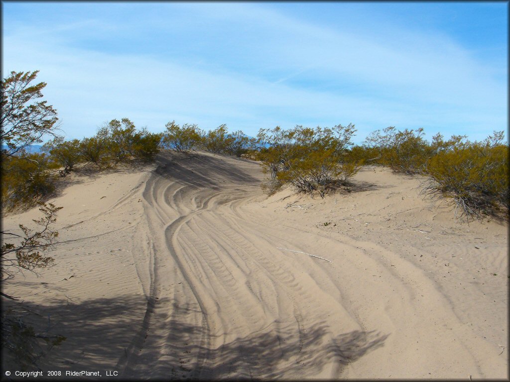 A trail at Hot Well Dunes OHV Area