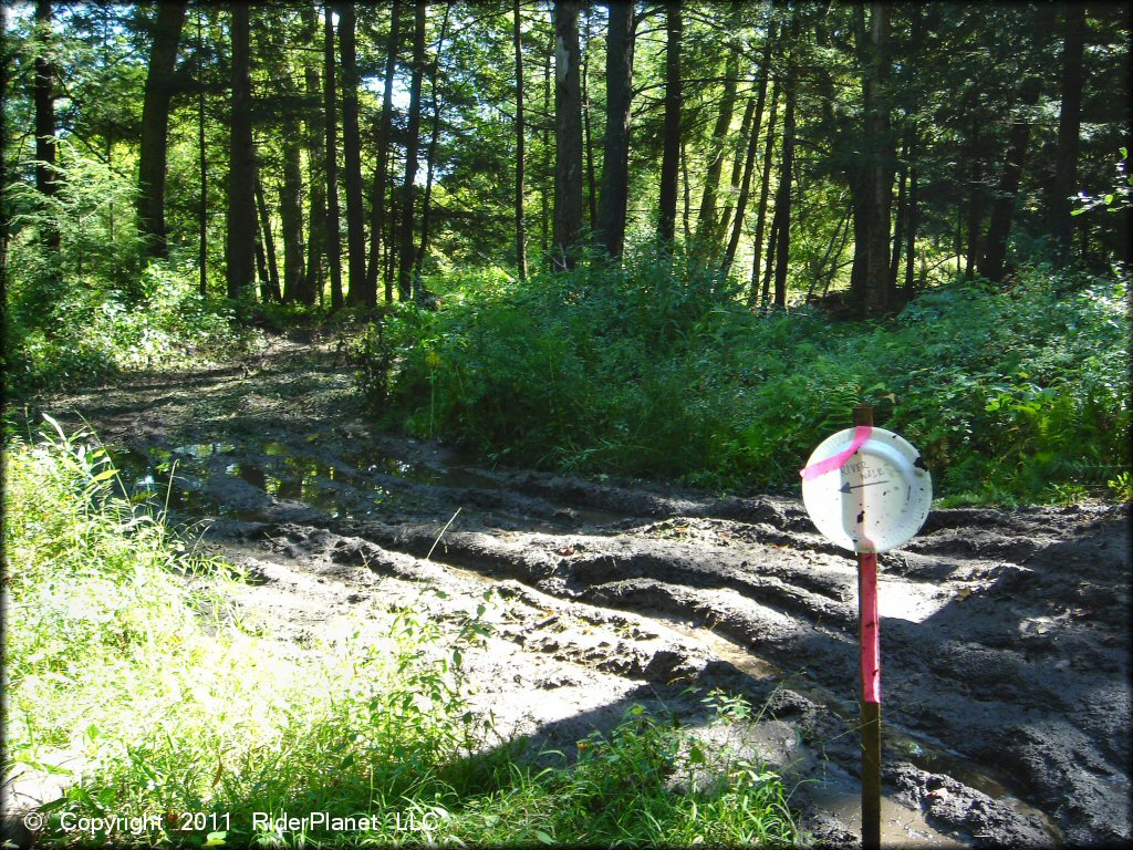 Example of terrain at Camden ATV Trail