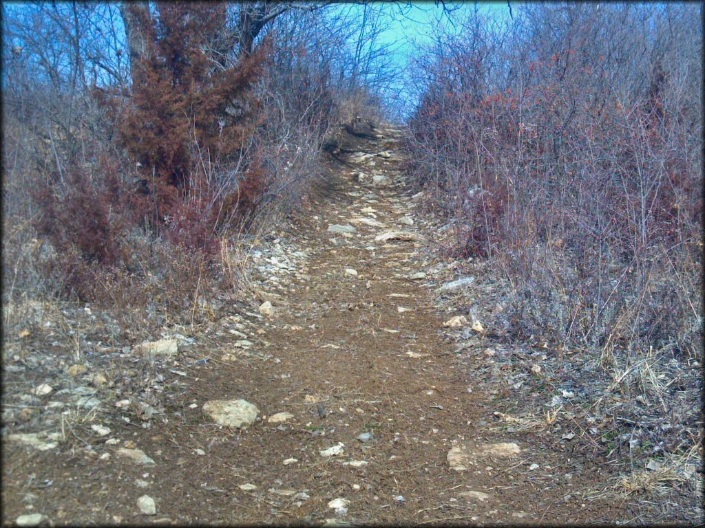 Example of terrain at Spillway Cycle Area Trail