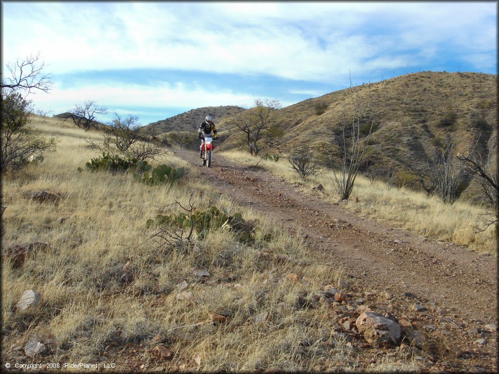 Honda CRF Motorcycle at Santa Rita OHV Routes Trail