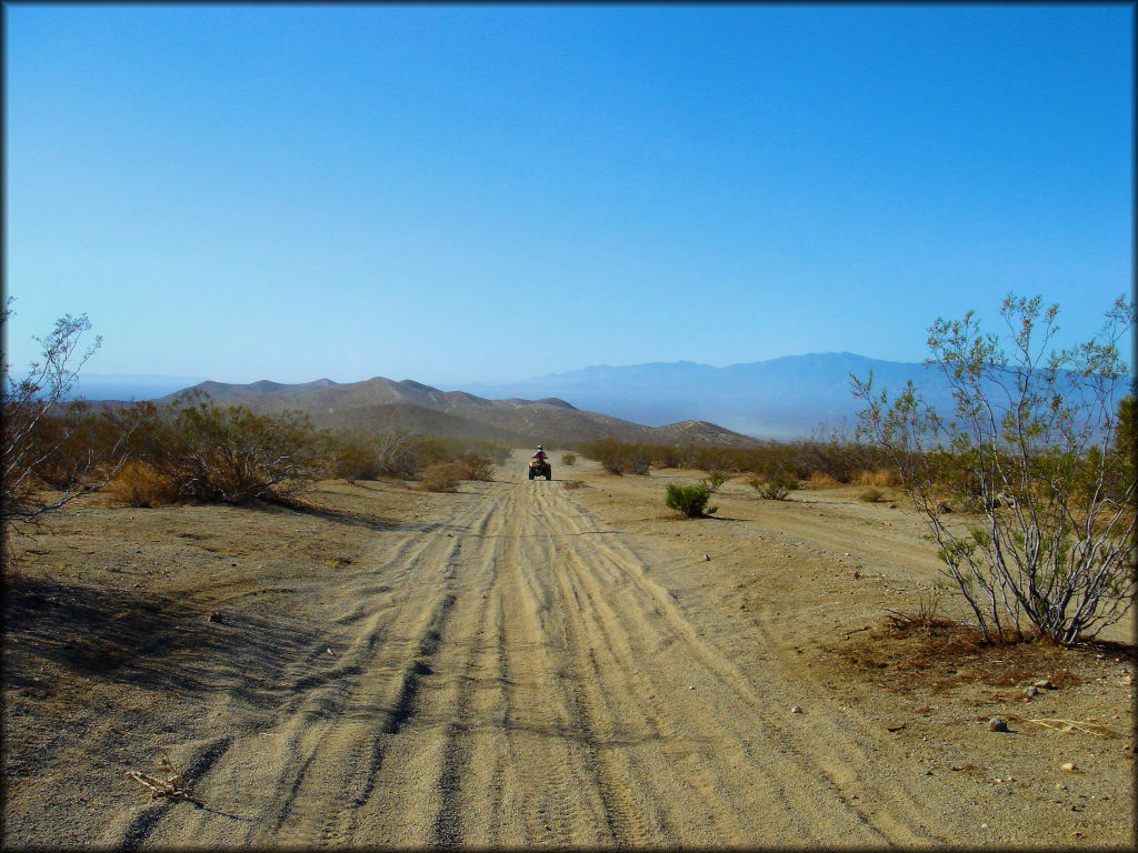 Honda Fourtrax 250 riding down wide and sandy 4x4 trail.