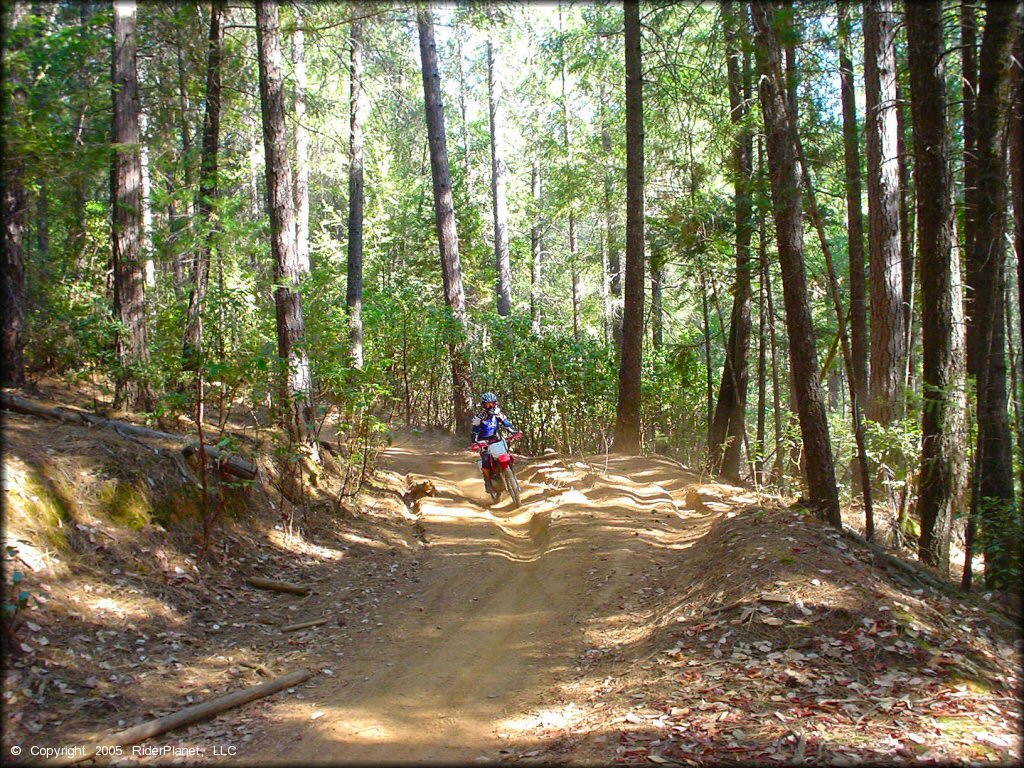 Honda CRF Motorcycle at Georgetown Trail