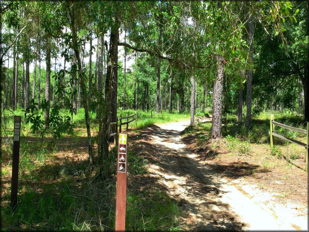 Close up photo of OHV trail with brown carsonite markers.