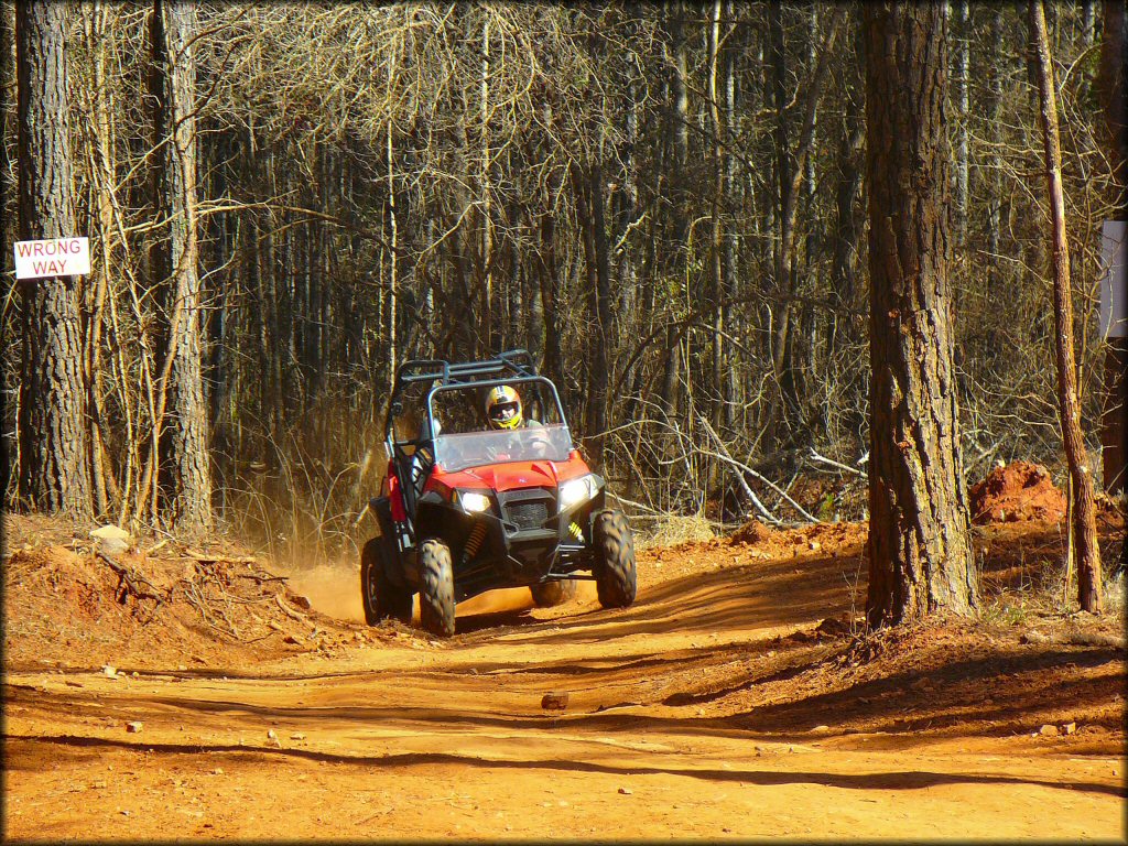 Man driving side by side down a wide trail.