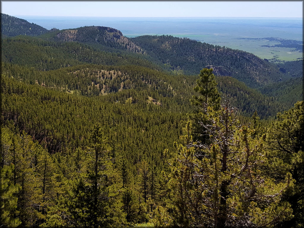 Camp Creek Recreation Area Trail