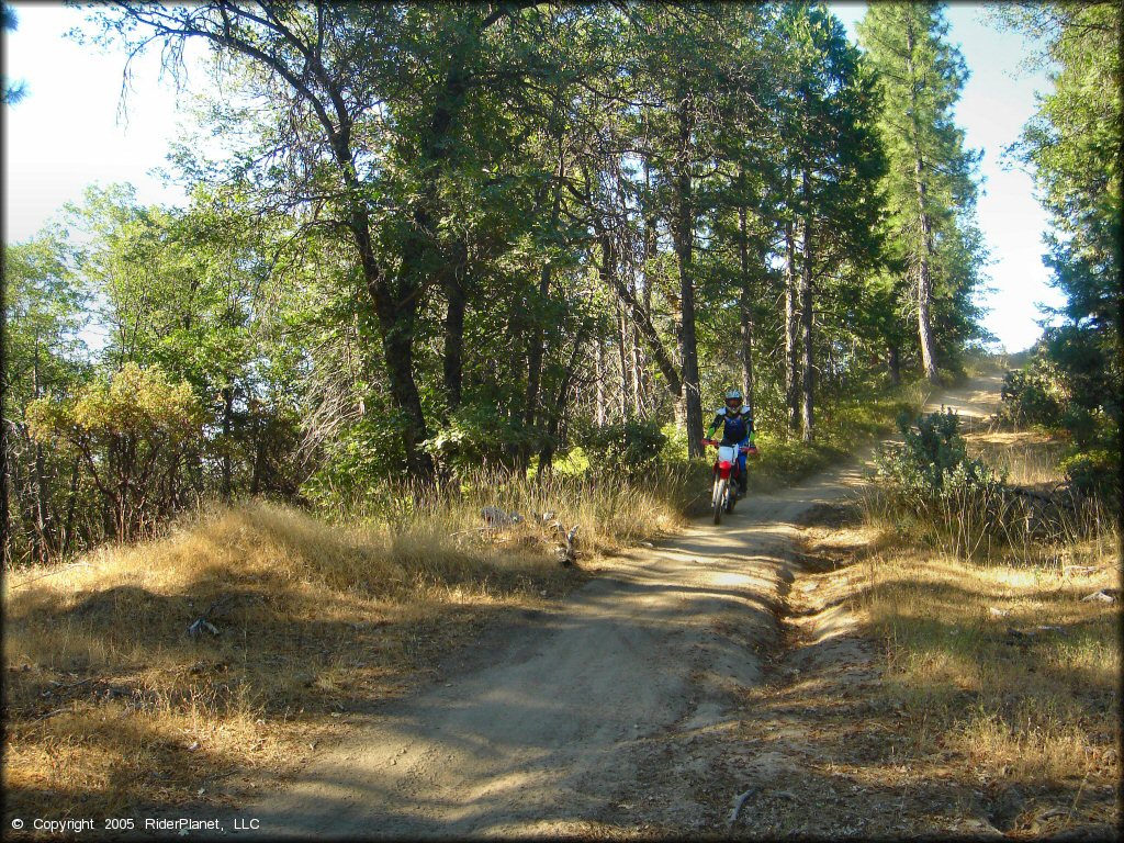 Honda CRF Dirt Bike at Miami Creek OHV Area Trail