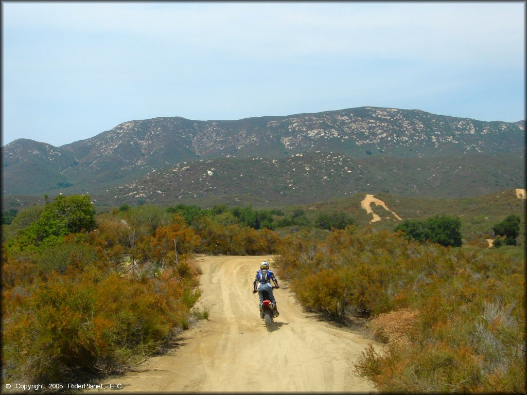 Woman wearing Acerbis riding gear with CamelBak on Honda CRF150F riding down wide 4x4 trail.