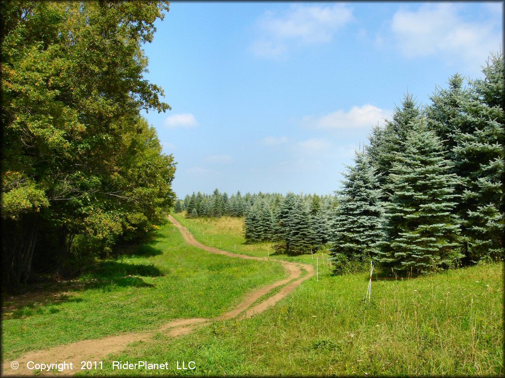 Terrain example at Tall Pines ATV Park Trail