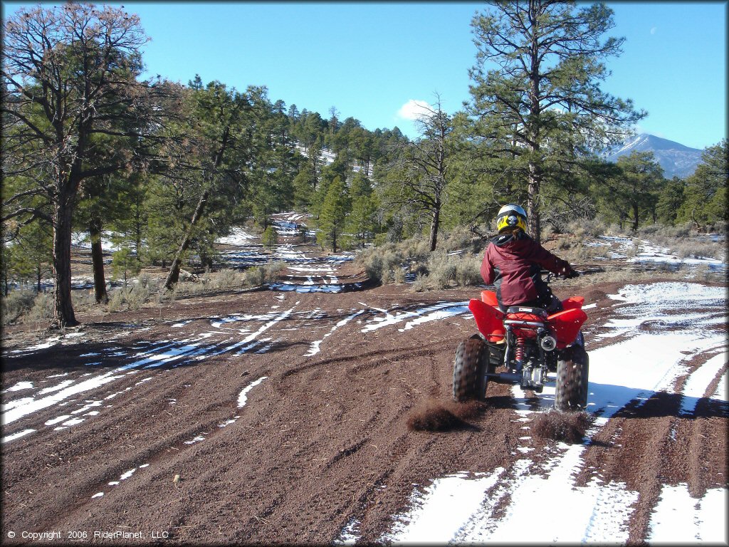 Woman on Honda TRX 250EX riding through patch of snow on ATV trail.