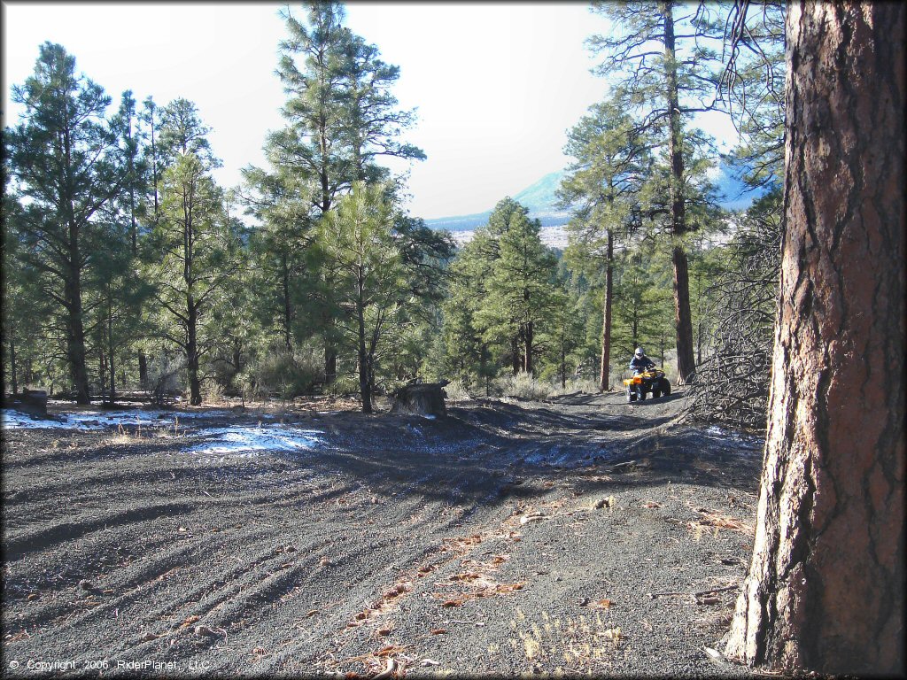 Yellow Honda Recon 250 navigating through a wide section of trail.