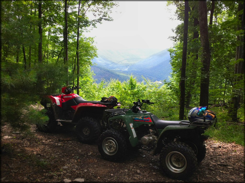Haneyville ATV Trails