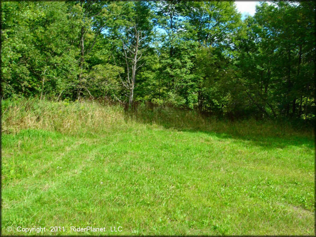 Scenic view of New York ATV - Sportsman Club LLC Trail