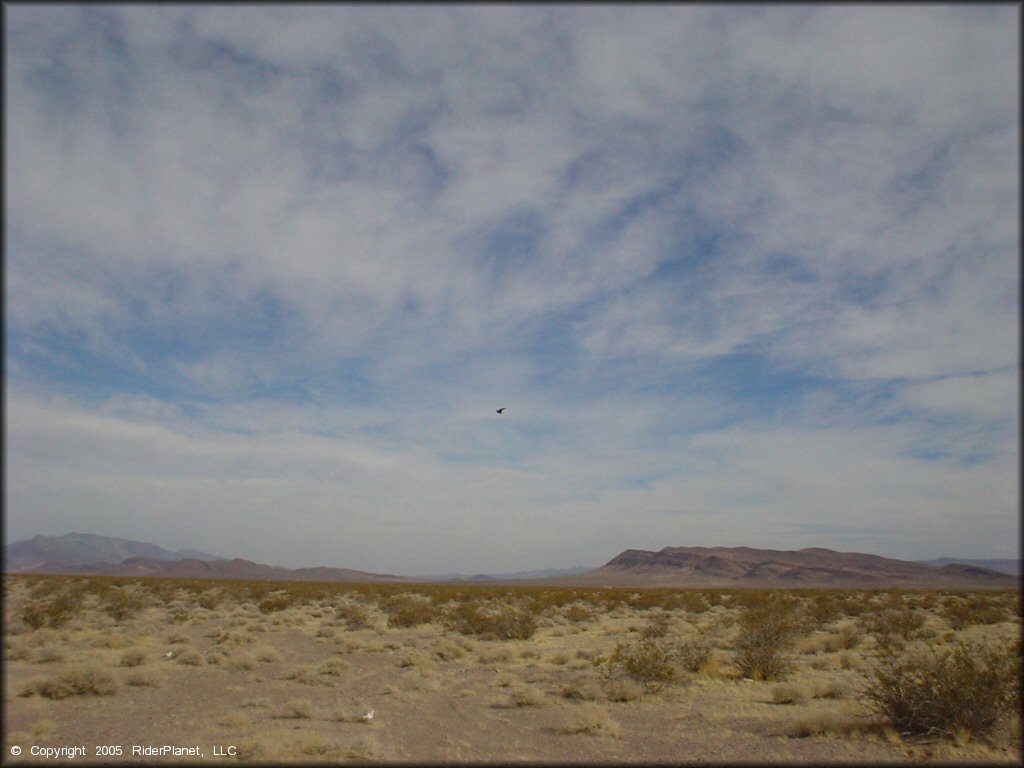 OHV at Amargosa Dunes Dune Area