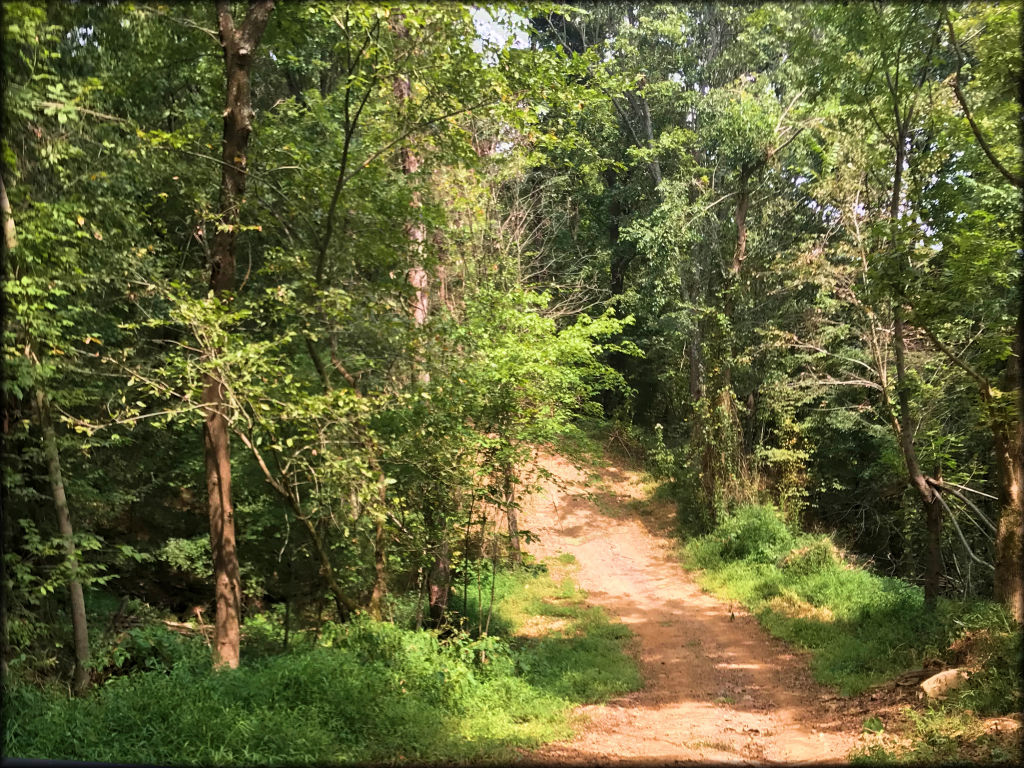 West Kentucky ATV Recreational Area Trail