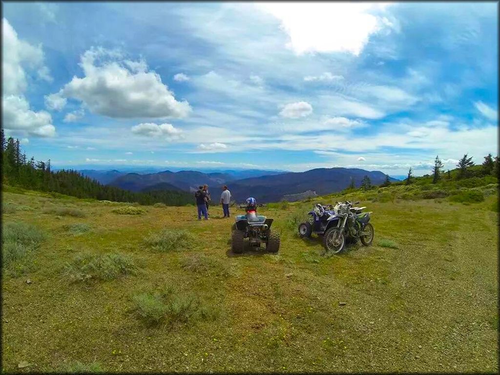 Elderberry Flats Trail