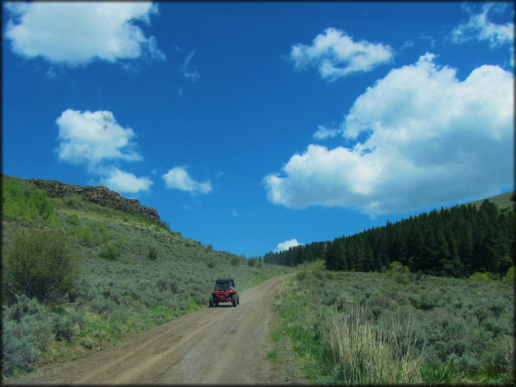 Red UTV riding on hardpacked Forest Service Road.