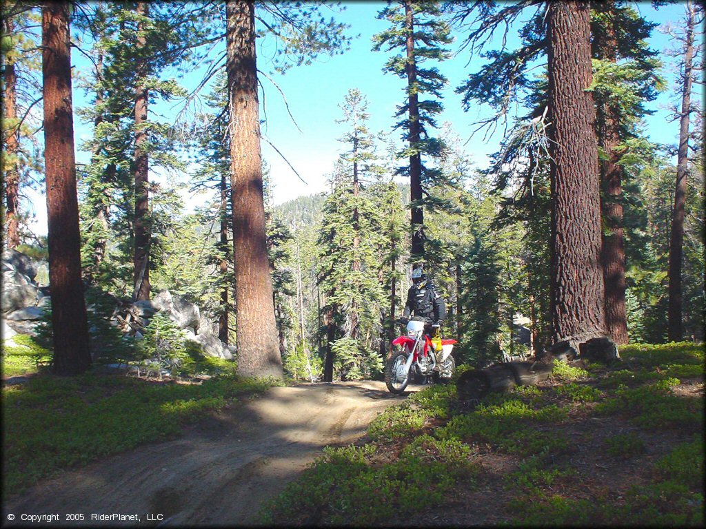 Honda CRF Dirt Bike at Genoa Peak Trail