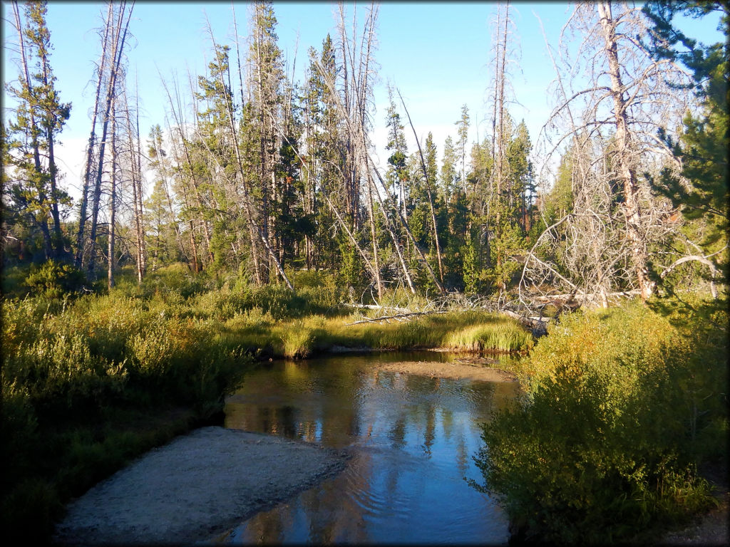 Casino Creek Trail