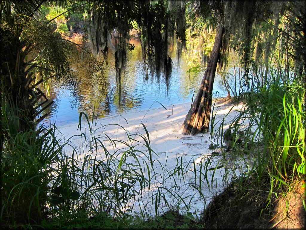 Peace River Campground Trail