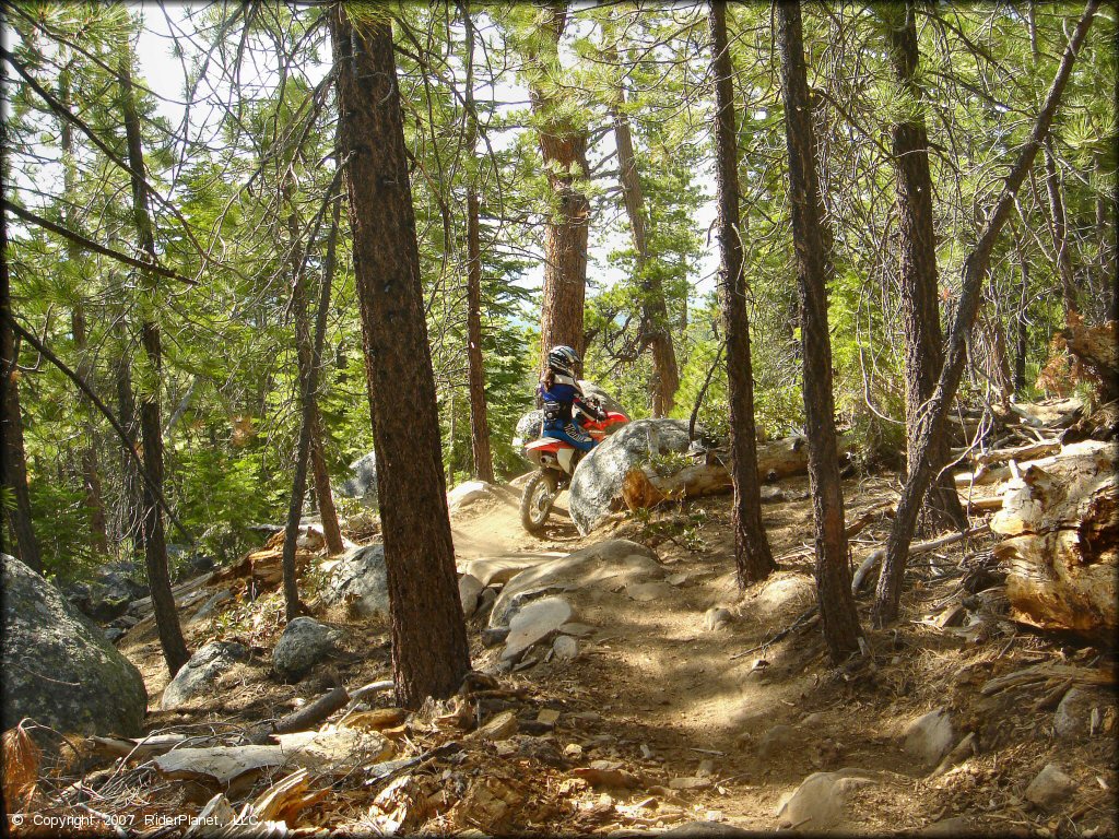 Honda CRF Dirt Bike at Corral OHV Trail