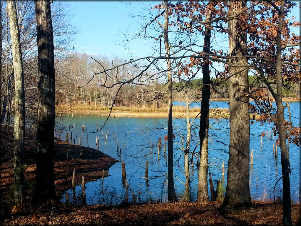 Trace State Park Trail