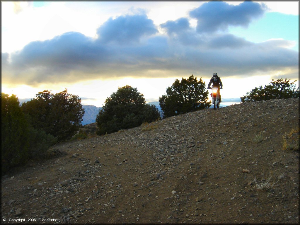 Honda CRF Motorcycle at Mount Seigel OHV Trails