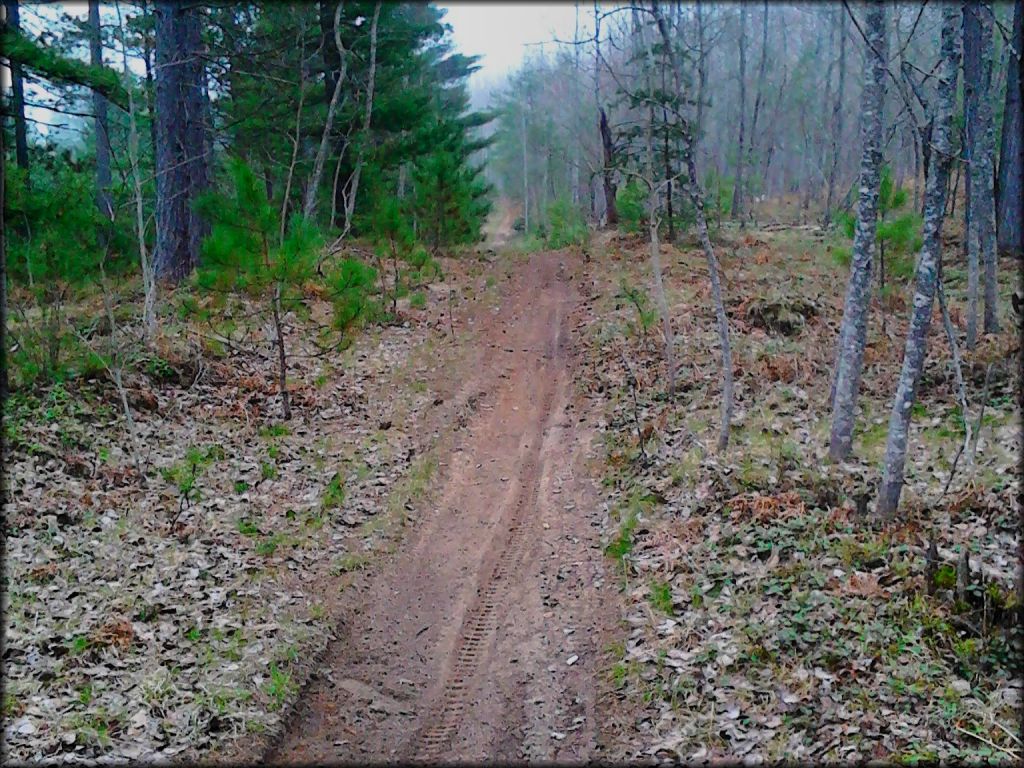 Moss Lake Motorcycle Trail