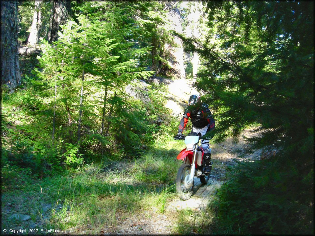 Honda CRF Off-Road Bike at Pilot Creek OHV Trails