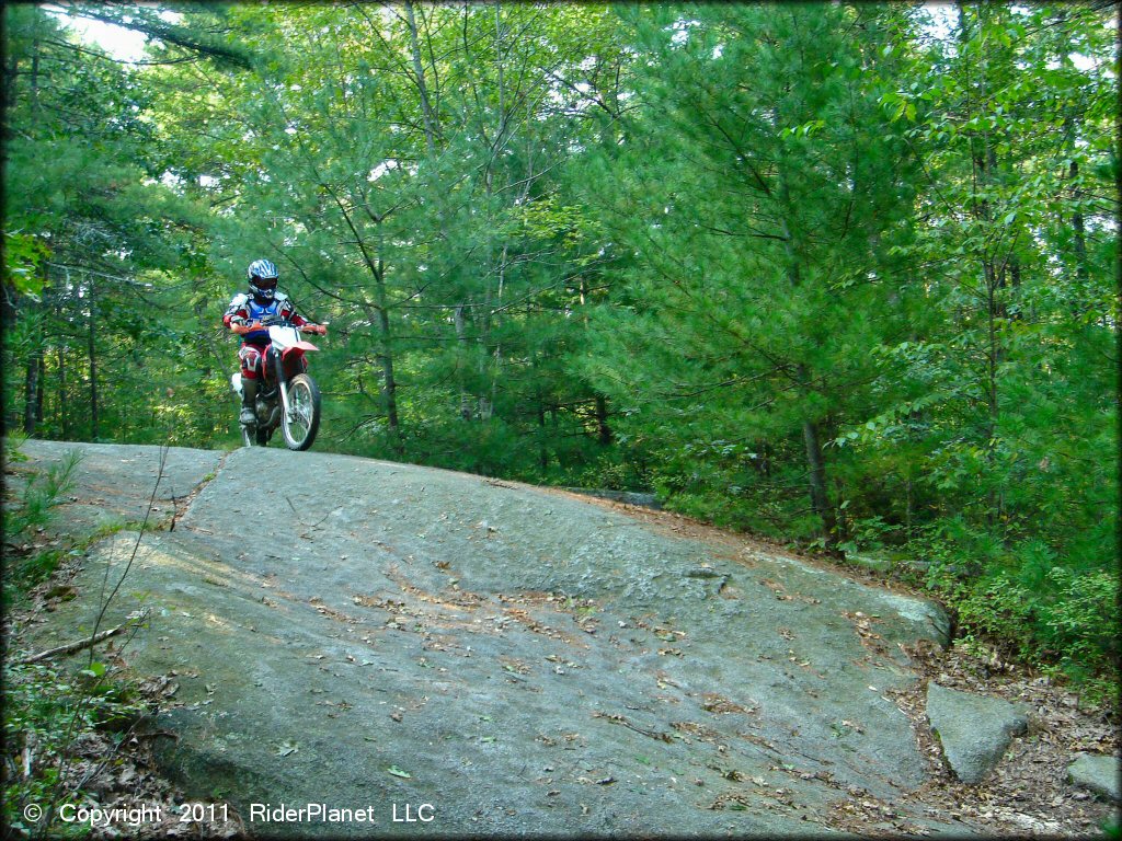 Honda CRF Motorcycle at F. Gilbert Hills State Forest Trail