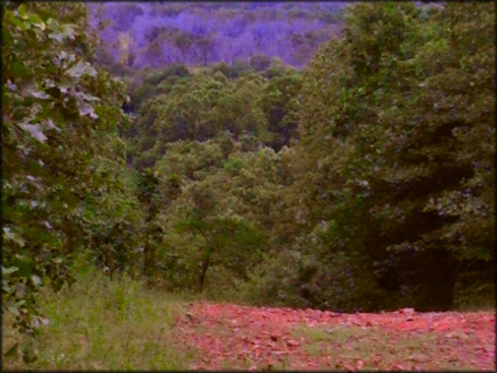 Terrain example at Camp Gruber ORV Area Trail