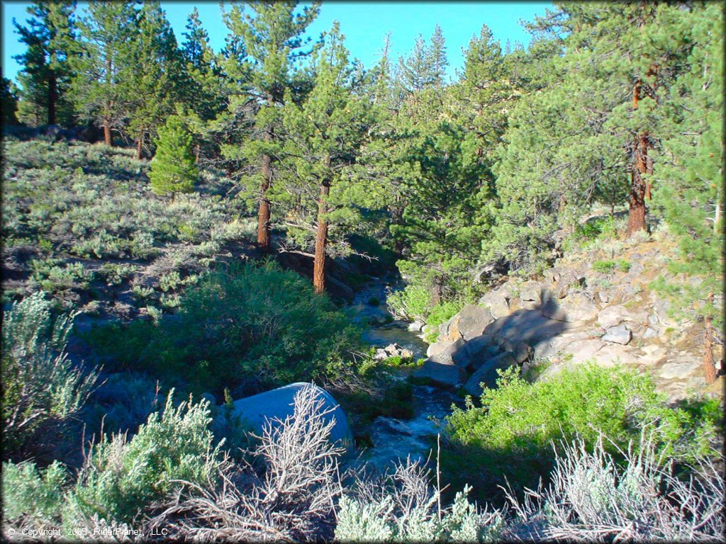 Mammoth Lakes Trail