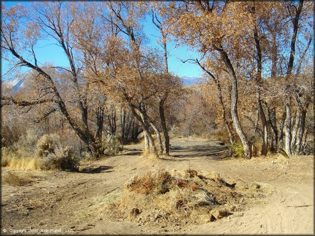Terrain example at Washoe Valley Jumbo Grade OHV Area