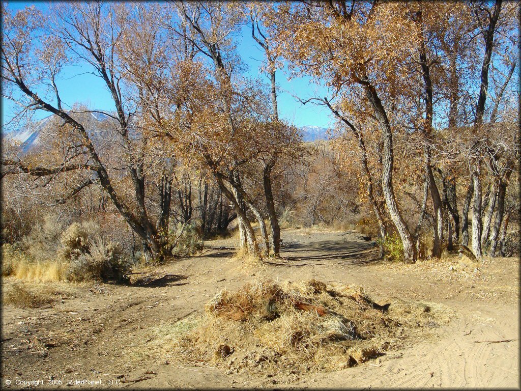 Washoe Valley Jumbo Grade OHV Area