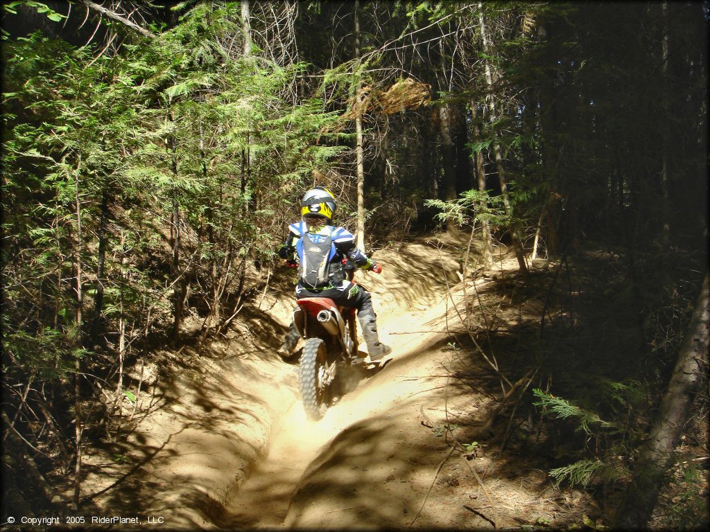 Honda CRF Motorcycle at Elkins Flat OHV Routes Trail