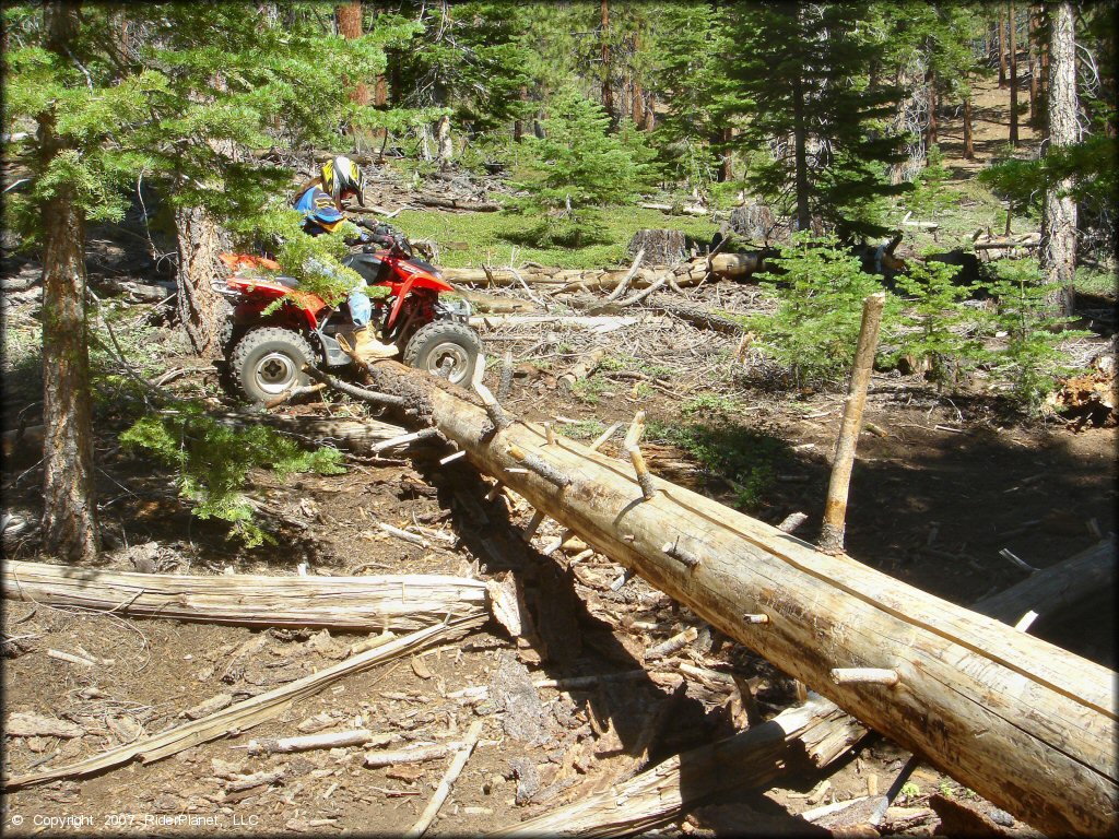 Female rider on a Honda All Terrain Vehicle at South Camp Peak Loop Trail