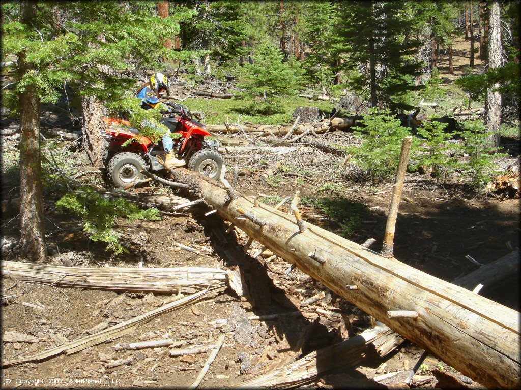 Female rider on a Honda Quad at South Camp Peak Loop Trail