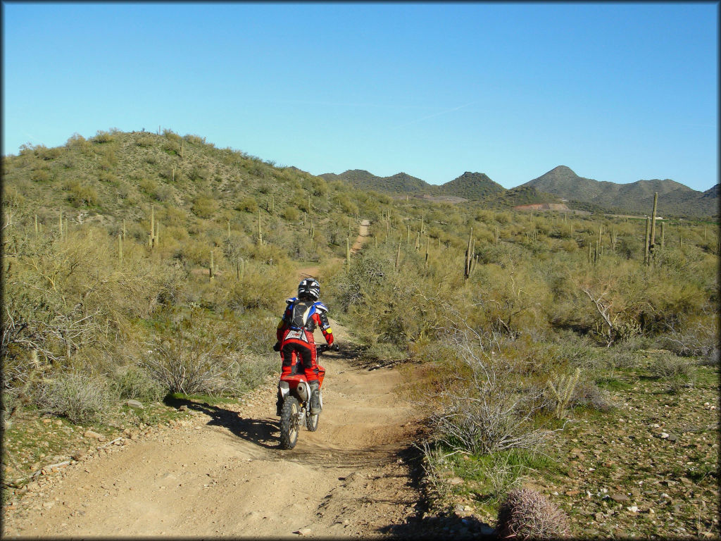 Honda dirt bike on hard packed ATV trail in the desert.