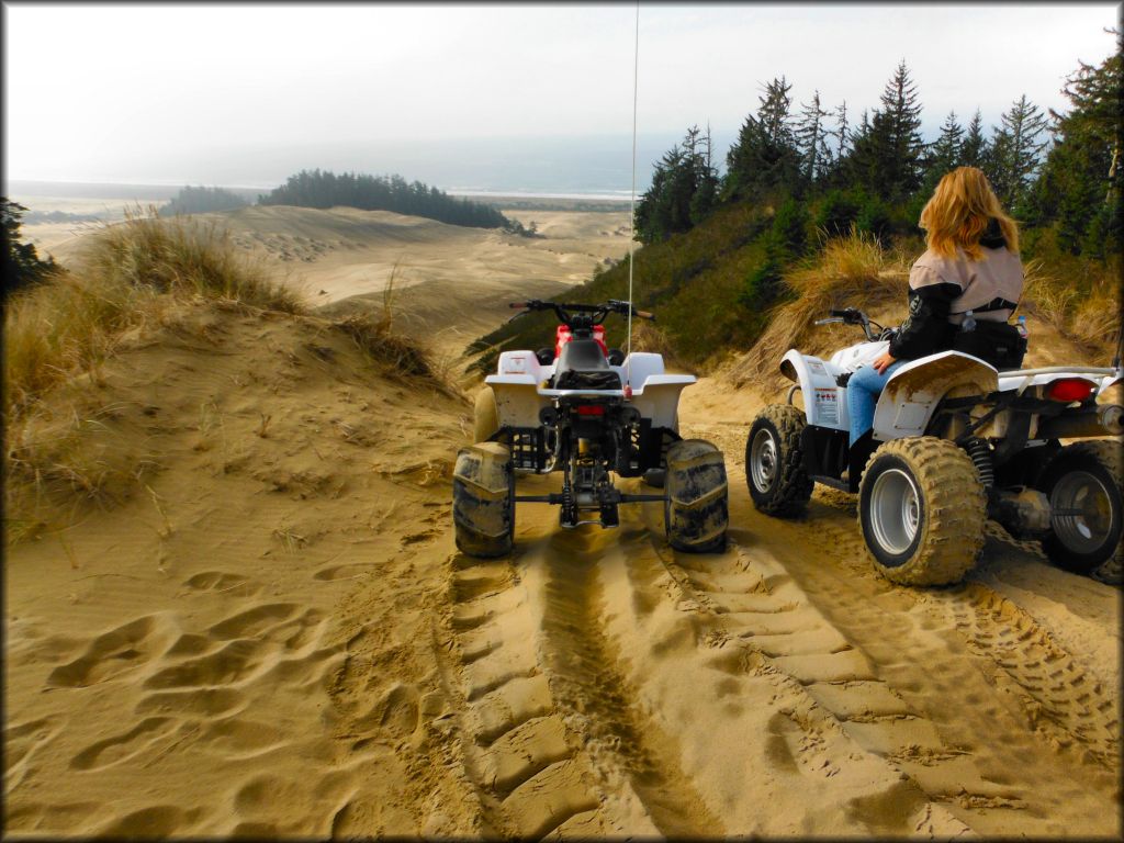 Umpqua Dunes OHV Area