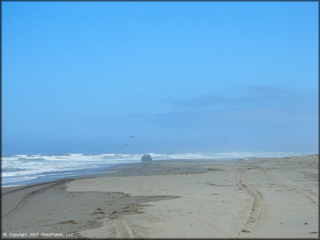 Scenic view of Samoa Sand Dunes OHV Area