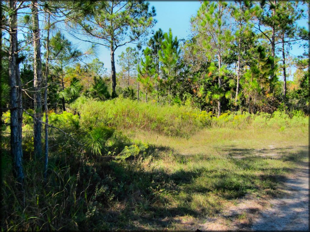 Omega Ranch Trail