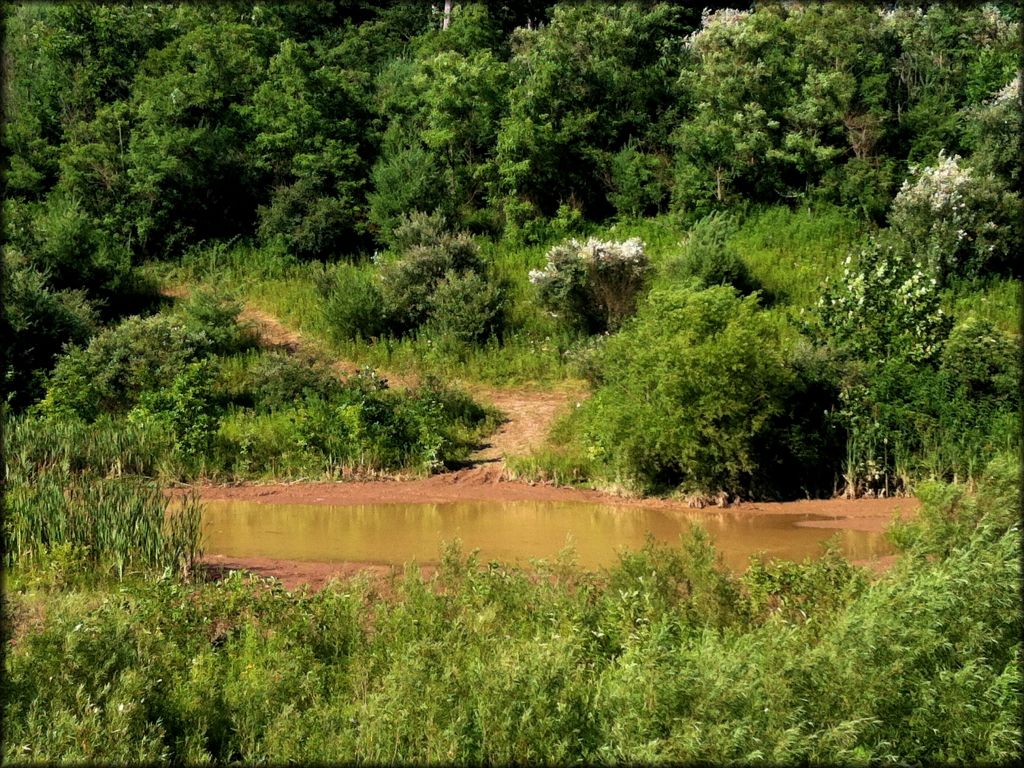 Scenic Trails Recreational Land