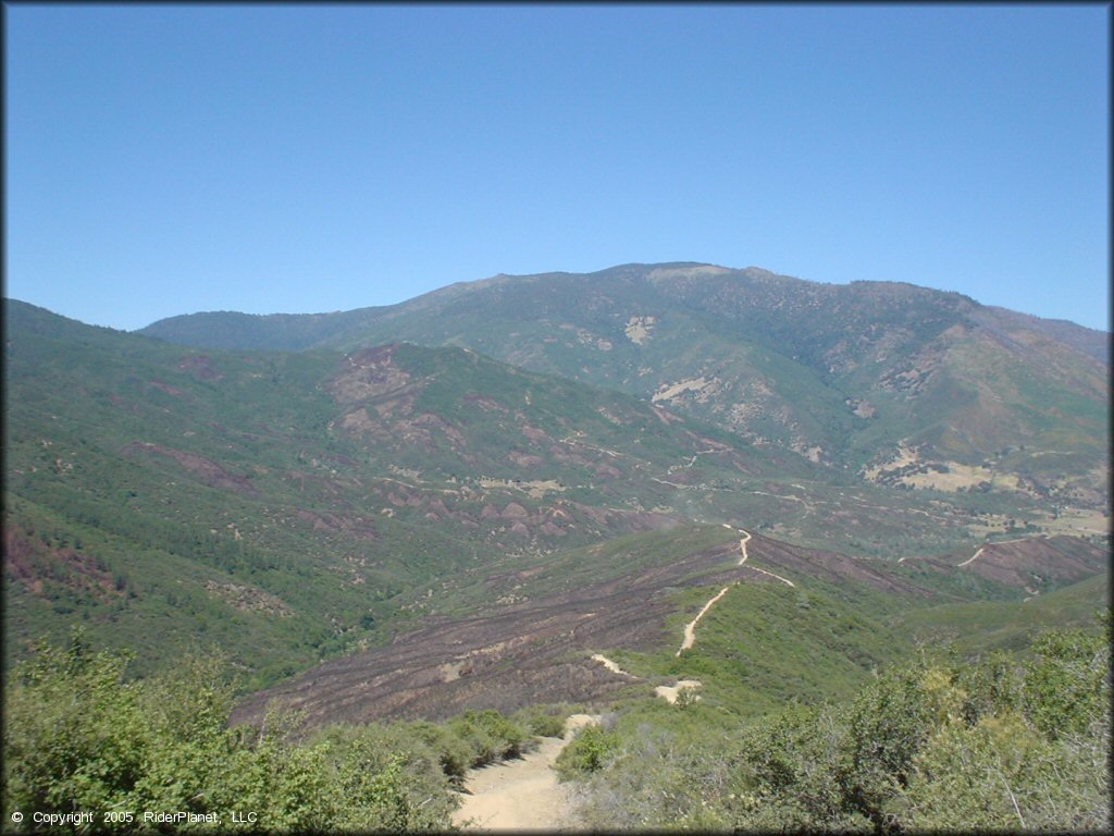 Scenic view of jeep trail heading into the Mendocino National Forest.