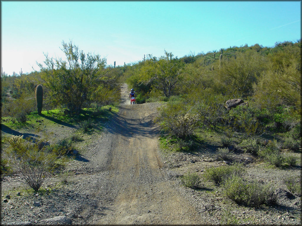 Scenic photo of rider on Honda dirt bike riding on an ATV trail in the desert.